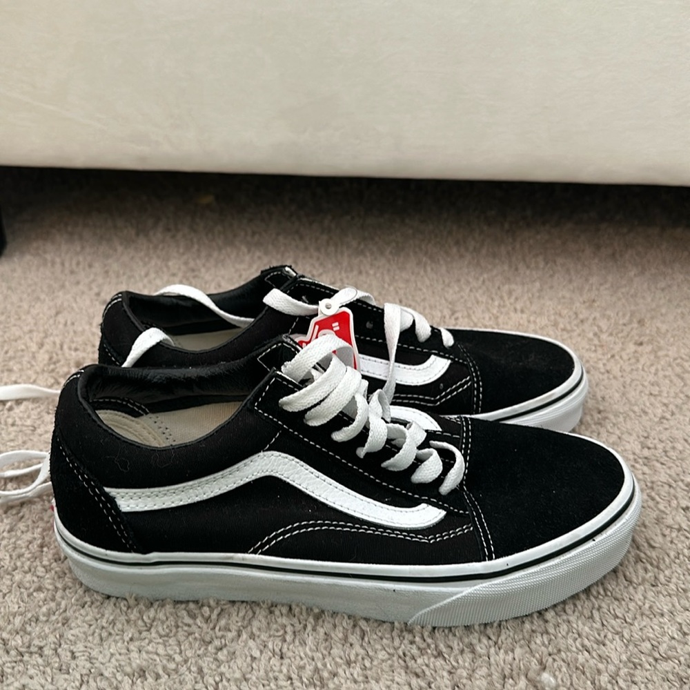 Vans skater low top shoes